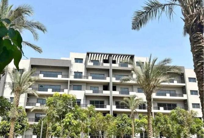 66435964 - Property Image 2