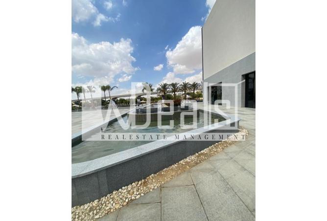 61681328 - Property Image 3