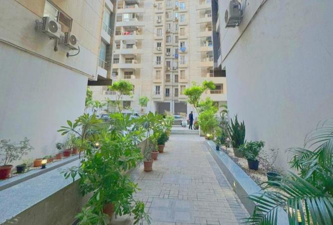 59492469 - صورة العقار 3