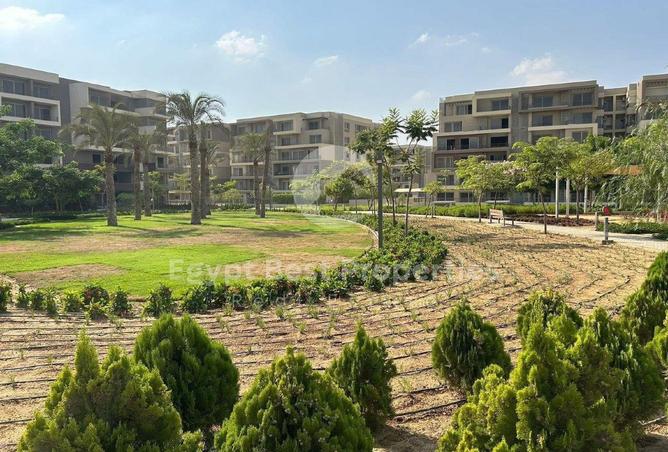 105172160 - الصورة الرئيسية للعقار