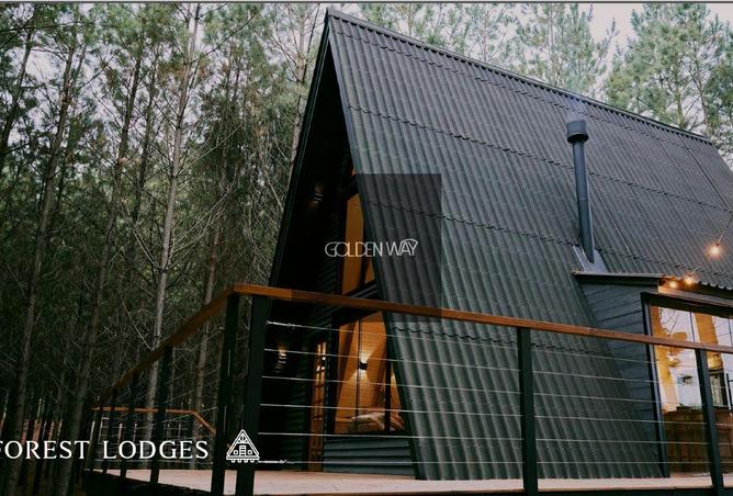 8528390 - صورة العقار 3