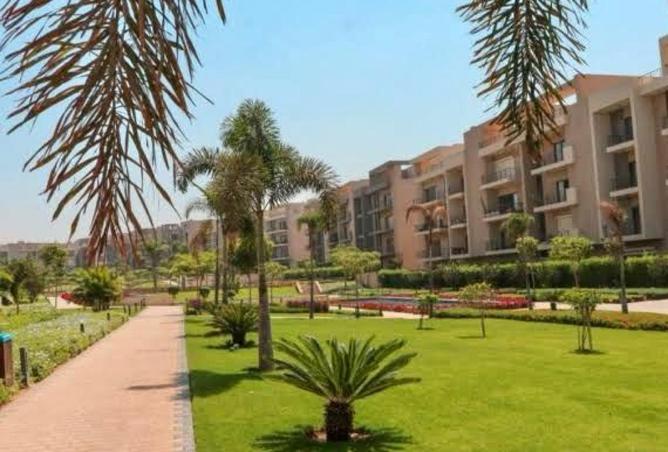 51925989 - صورة العقار 3