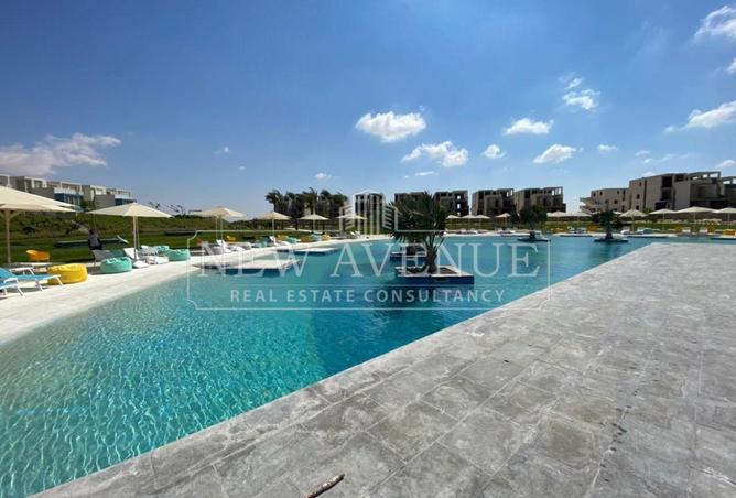 99114203 - Property Image 3