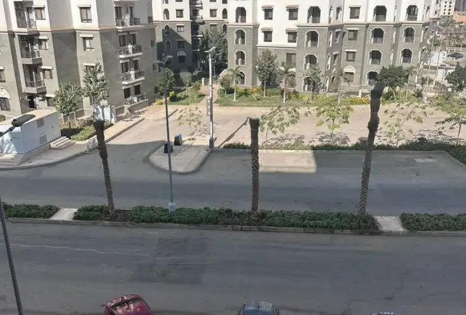 113821977 - Property Image 2