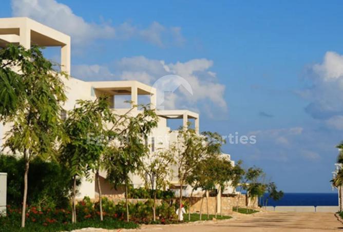 66684374 - Property Image 3