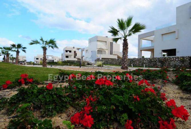 66684374 - Property Image 2