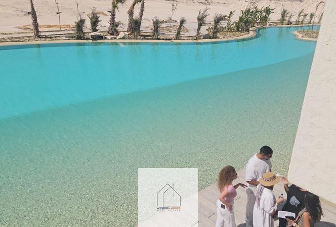 84774646 - صورة العقار 3