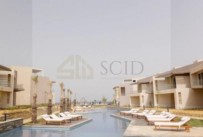103762683 - Property Image 3