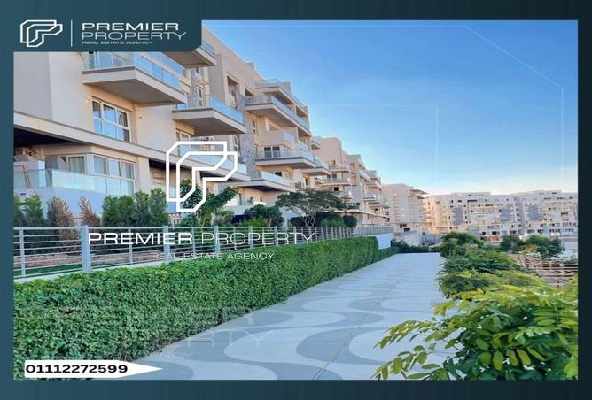107135544 - Property Image 3