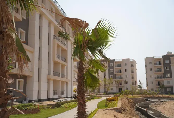 97438079 - صورة العقار 3
