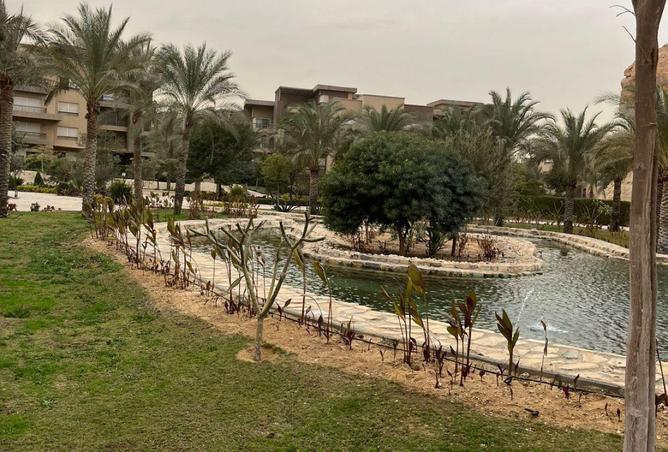 8616646 - صورة العقار 2