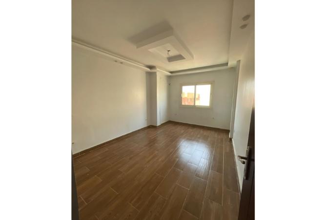 105729437 - Property Image 2