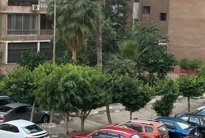 8709526 - صورة العقار 3