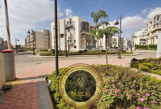 74586438 - Property Main Image