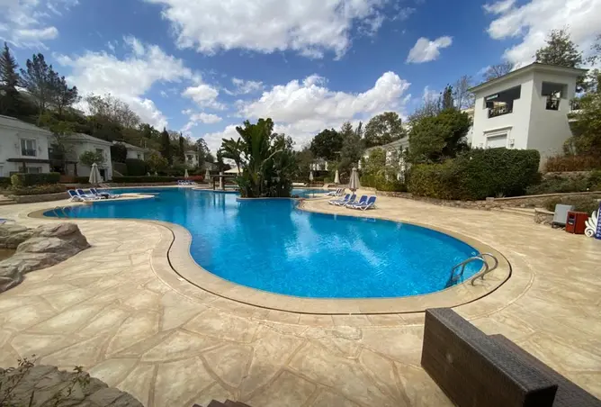 112711482 - Property Image 3