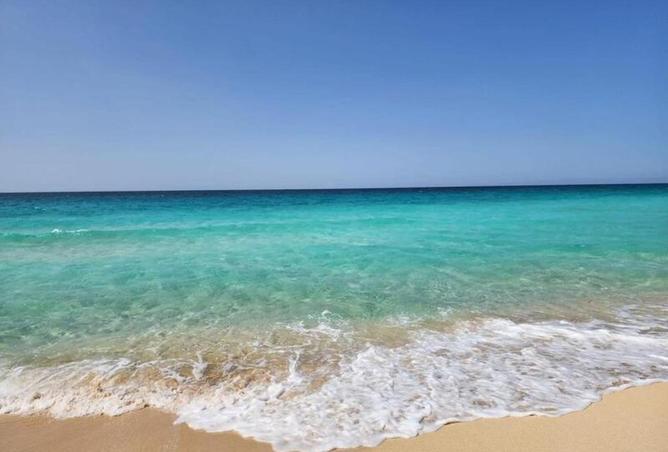 8698129 - Property Image 2