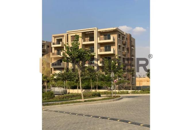 8573744 - Property Image 2