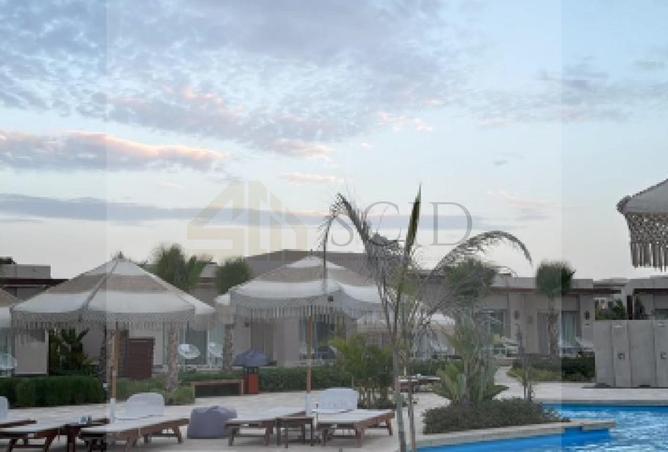 99117315 - صورة العقار 2