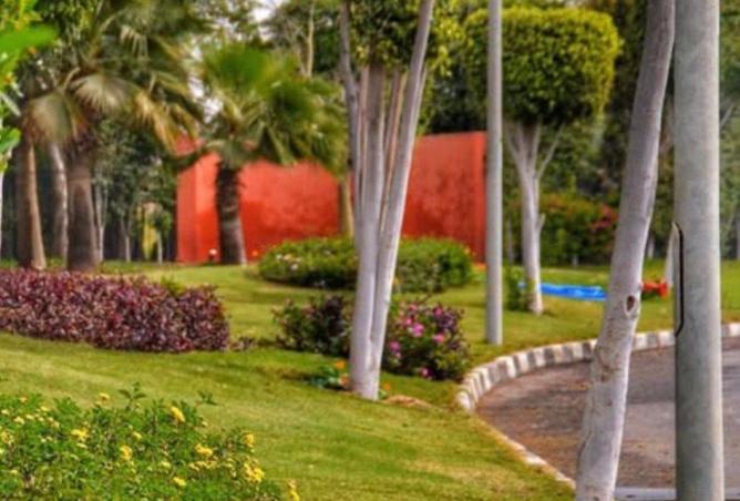 63387206 - صورة العقار 3