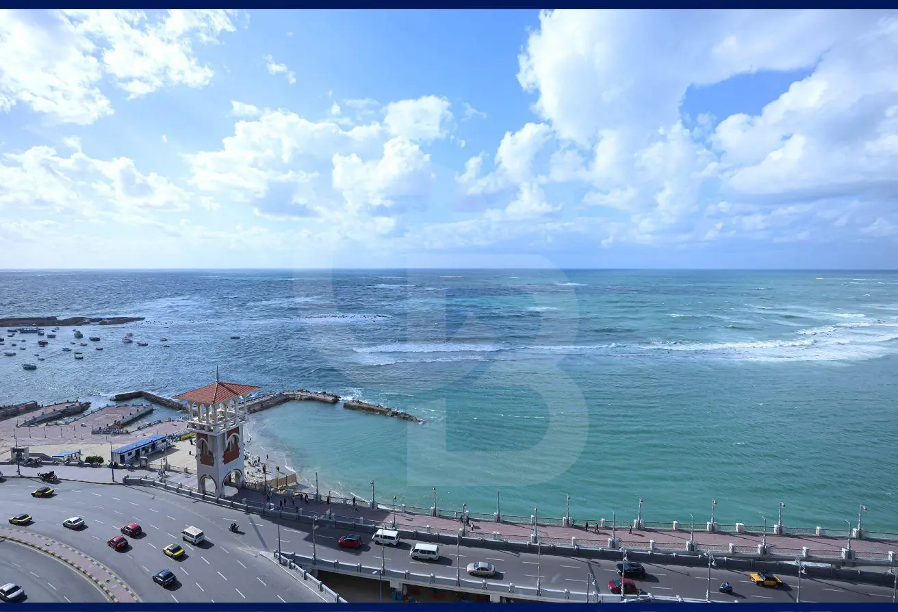 72445088 - الصورة الرئيسية للعقار