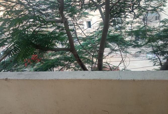 67222025 - Property Image 2