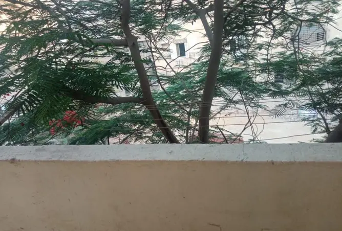 67222025 - صورة العقار 2