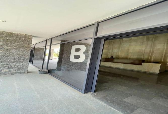 55503849 - صورة العقار 3