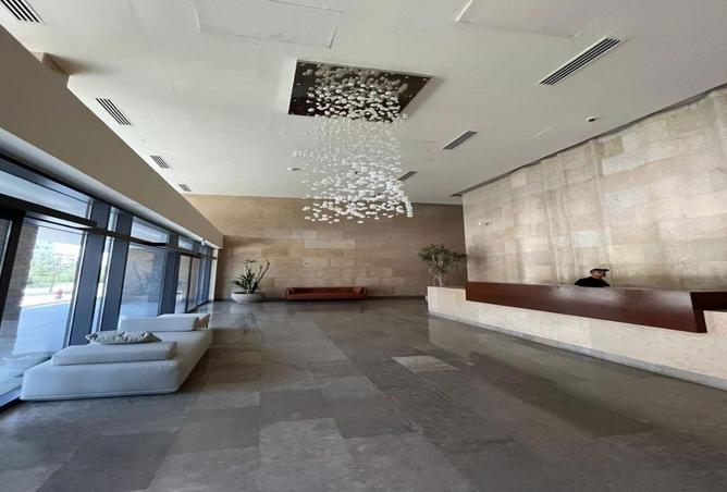 55503849 - صورة العقار 2