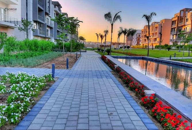 65163951 - صورة العقار 3