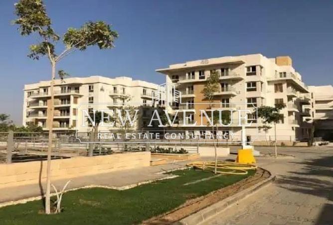 56496576 - Property Image 2