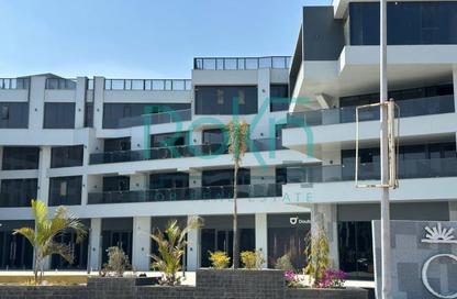 Retail - Studio - 1 Bathroom for rent in Central Avenue - 2nd District - Sheikh Zayed City - Giza