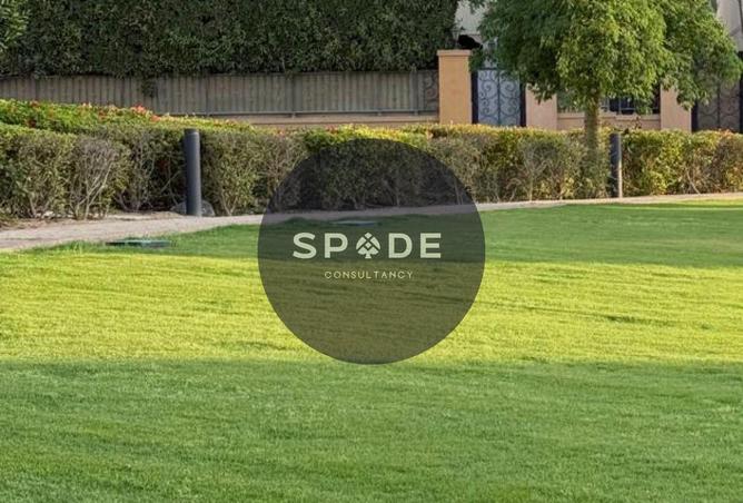 99385896 - Property Image 3