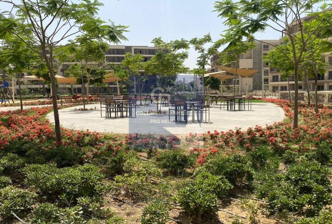 8565505 - صورة العقار 3