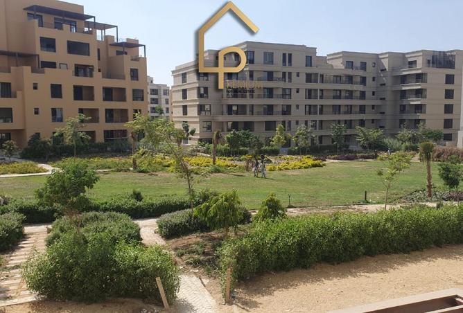 55507566 - Property Main Image