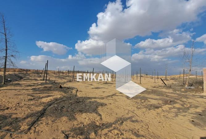 8678718 - Property Image 2