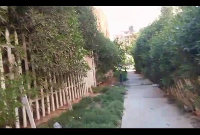 88969199 - صورة العقار 3