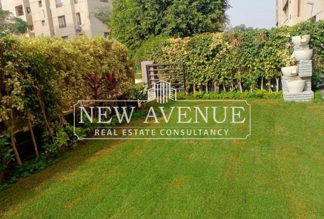 67995864 - Property Image 3