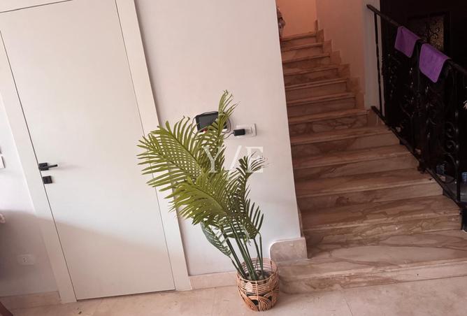 8381179 - صورة العقار 3