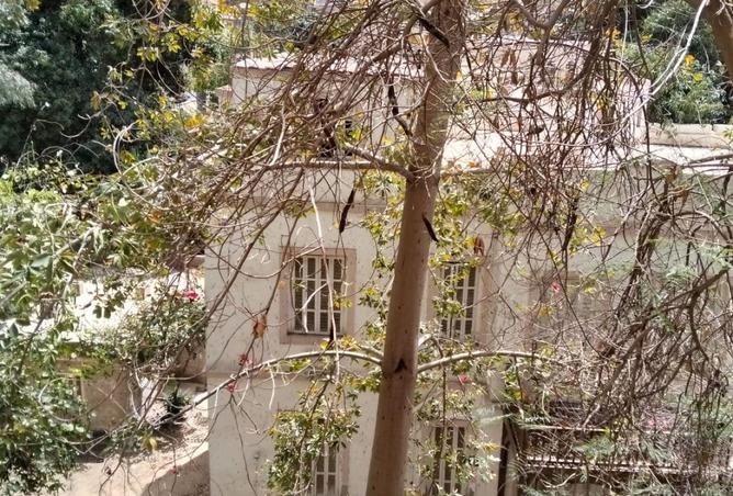 70359988 - صورة العقار 3