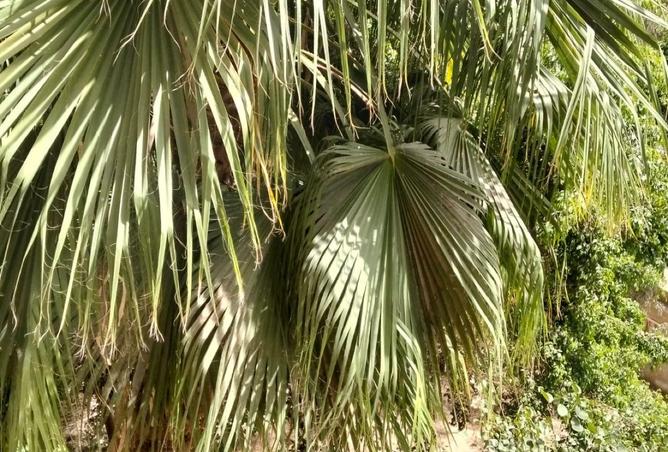 70359988 - صورة العقار 2