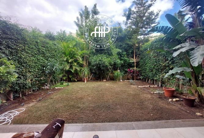 68797926 - Property Image 2