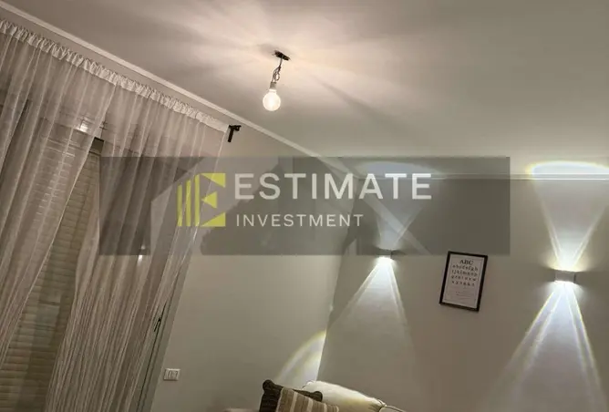 117013711 - Property Image 3