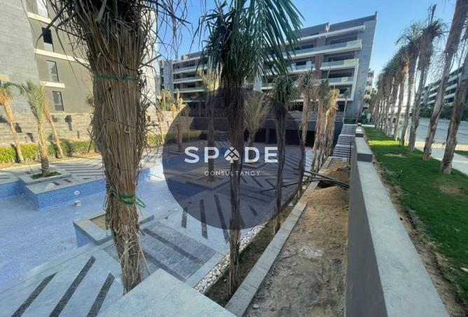 56253650 - Property Image 3