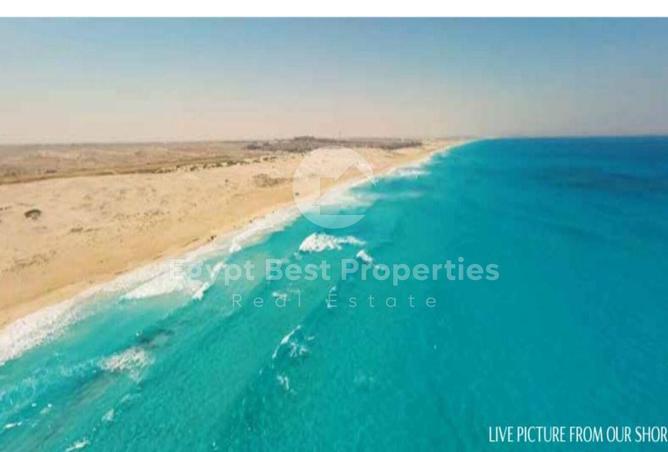 8632308 - Property Image 2