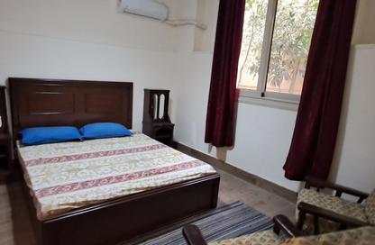Apartment - 2 - 2 for rent in District 5 - The 5th Settlement - New Cairo City - Cairo Apartment - 2 - 2 for rent in District 5 - The 5th Settlement - New Cairo City - Cairo