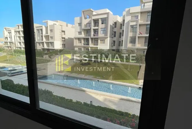 116747412 - Property Image 2
