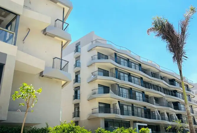 116762078 - Property Image 3
