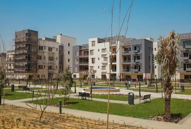 77614587 - Property Image 3