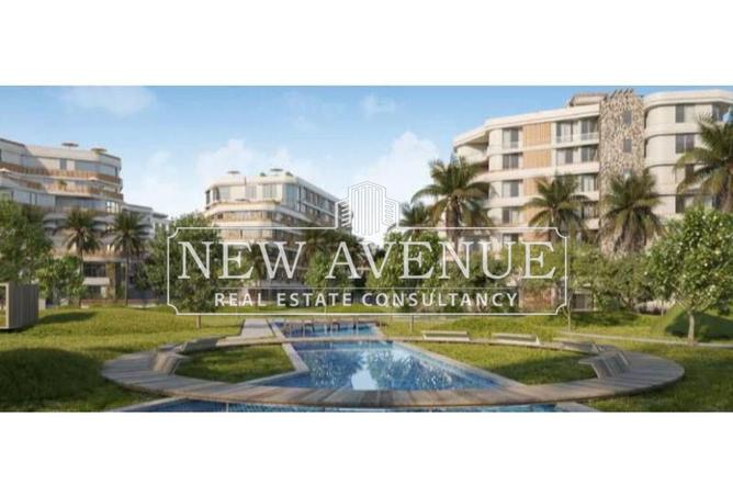 8713484 - Property Image 3