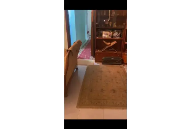 117531044 - Property Image 3